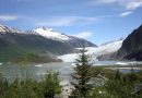 Alaska Fishing Lodge: The Nature’s Abode